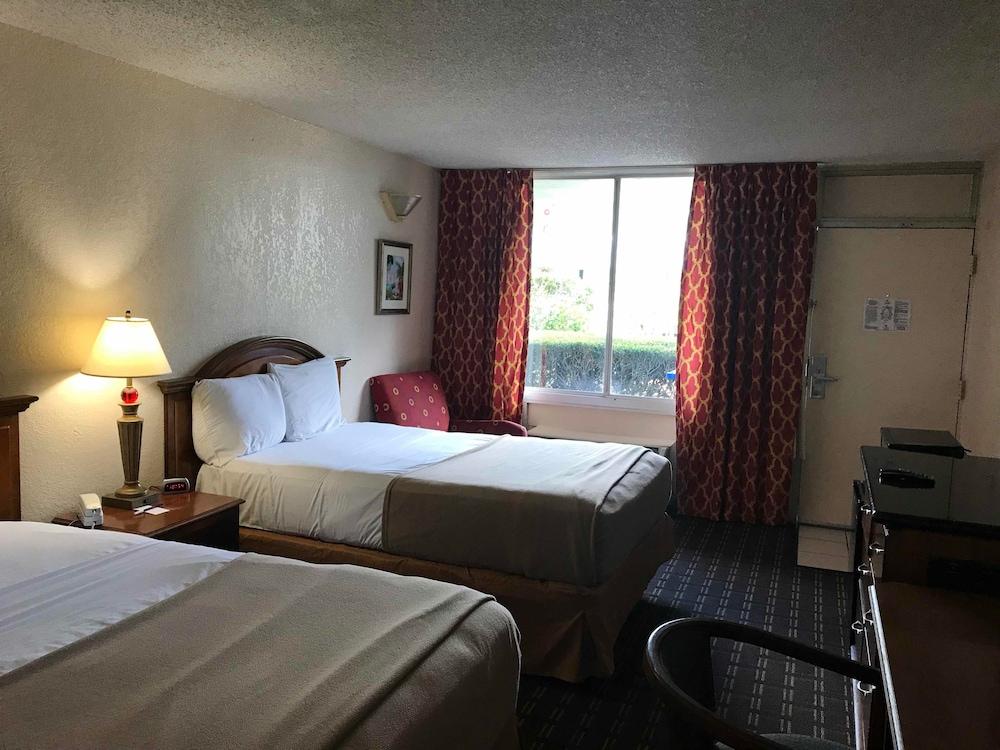 Quality Inn Tampa Lake Magdalene Eksteriør billede