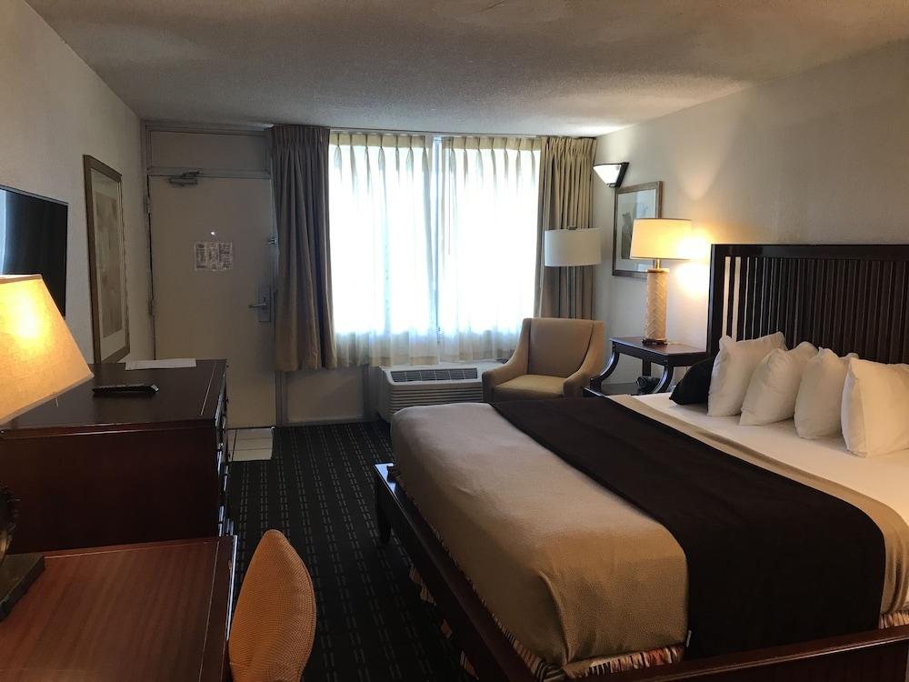 Quality Inn Tampa Lake Magdalene Eksteriør billede