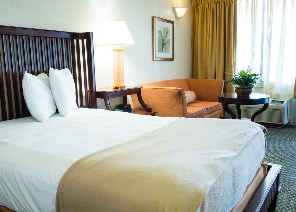 Quality Inn Tampa Lake Magdalene Eksteriør billede