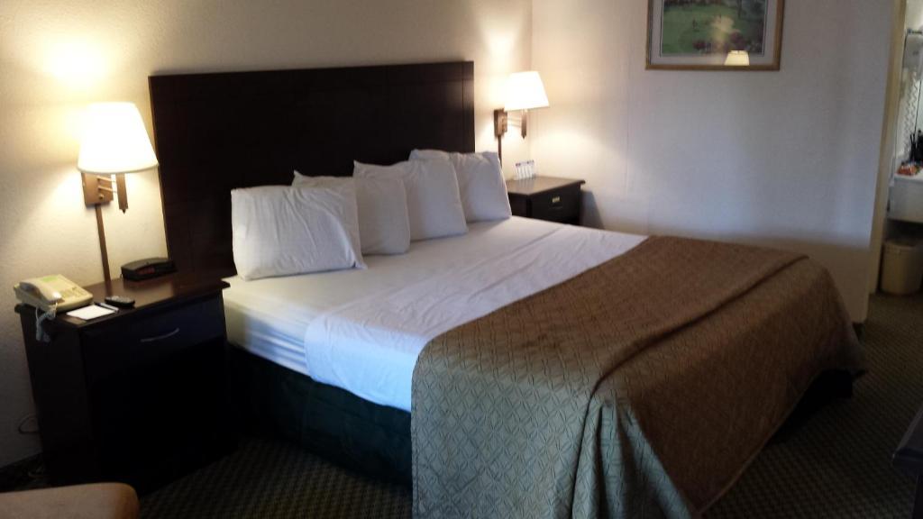 Quality Inn Tampa Lake Magdalene Værelse billede